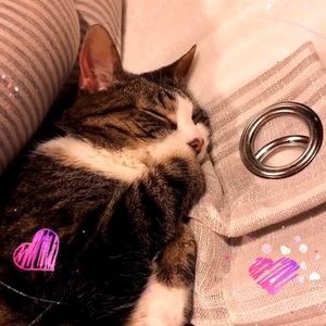 Meet your Posher, Delaney